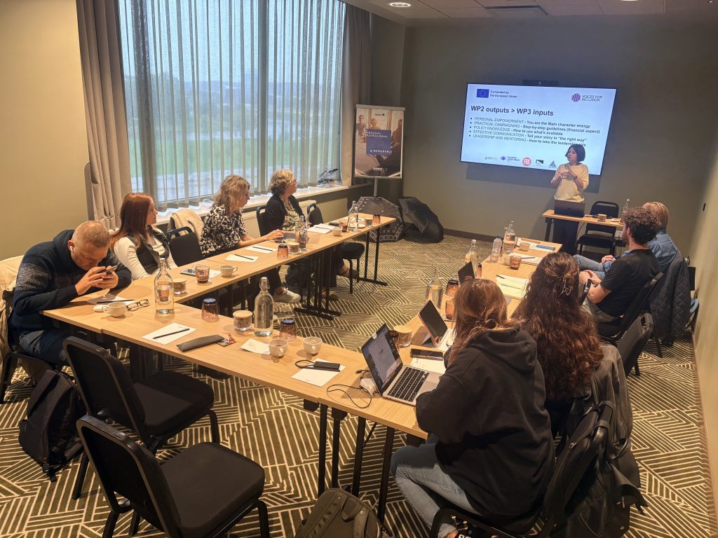 A working session in a meeting room: a presenter stands beside a screen showing a Voices for Inclusion slide with the EU co-funding logo, while participants follow along with laptops and notes.